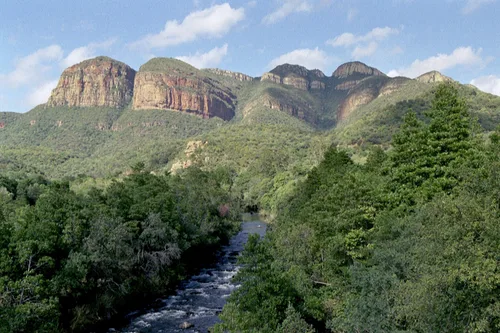 Photo from South Africa