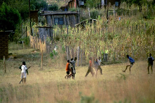 Photo from South Africa