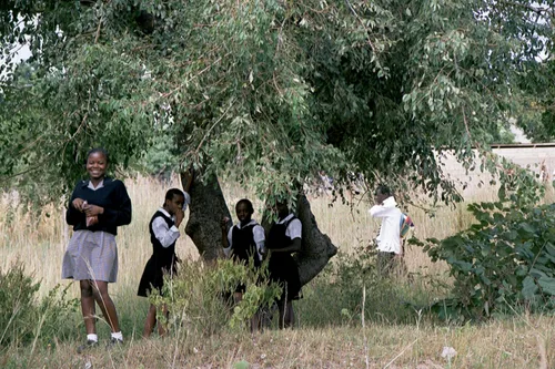 Photo from South Africa
