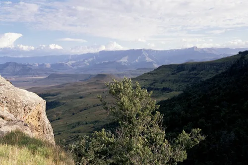 Photo from South Africa