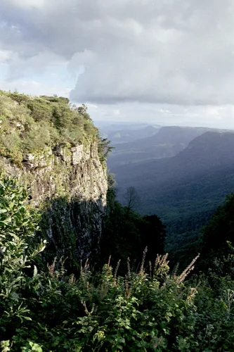 Photo from South Africa