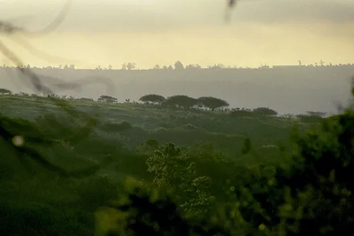 Photo from South Africa