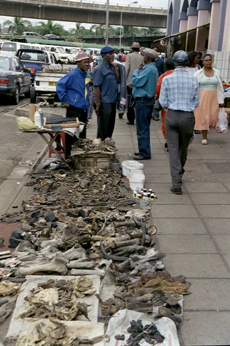 Photo from South Africa