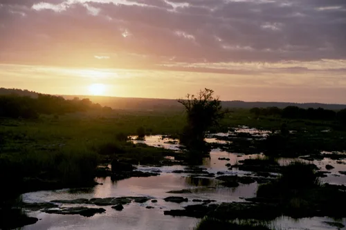 Photo from South Africa