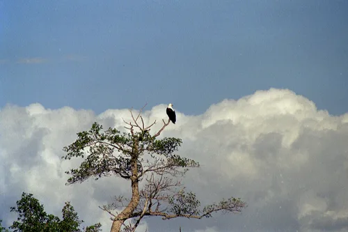 Photo from South Africa