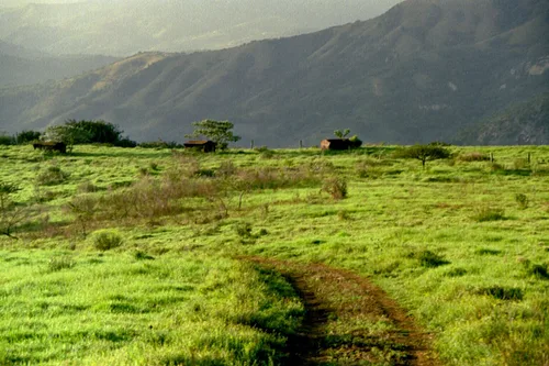 Photo from South Africa